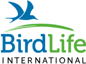 Bird Life