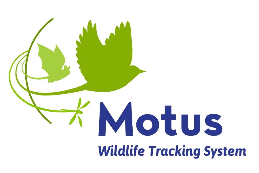 Motus